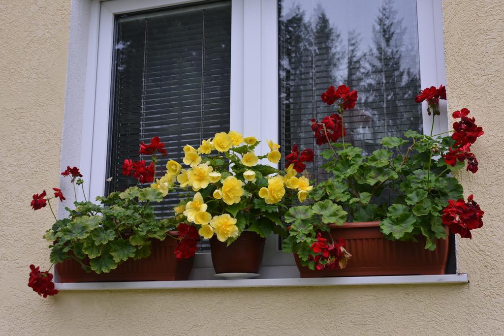Apartment Dobrila *