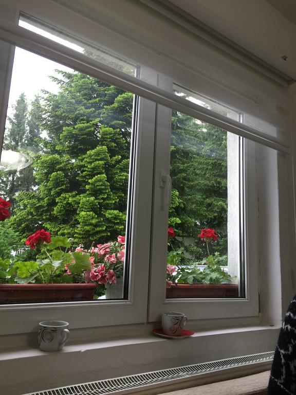 Dobrila Apartment Zlatibor